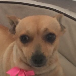 Meet your Posher, Yeah